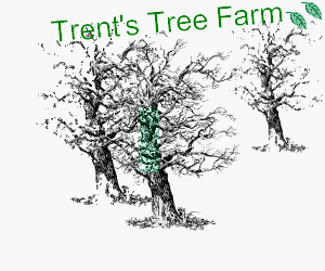 Logo for Trent's Tree Farm with tree icons